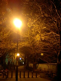 090321_2216~0001.jpg
